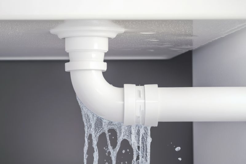 Leaking Farm House Sink